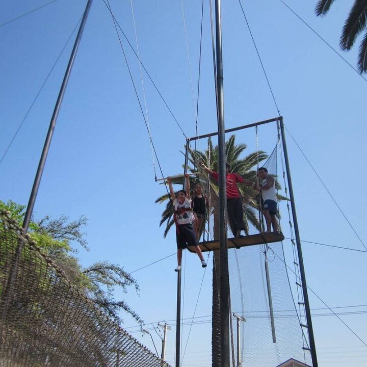 17358753-759824157527741-966436029409840603-o_1_orig